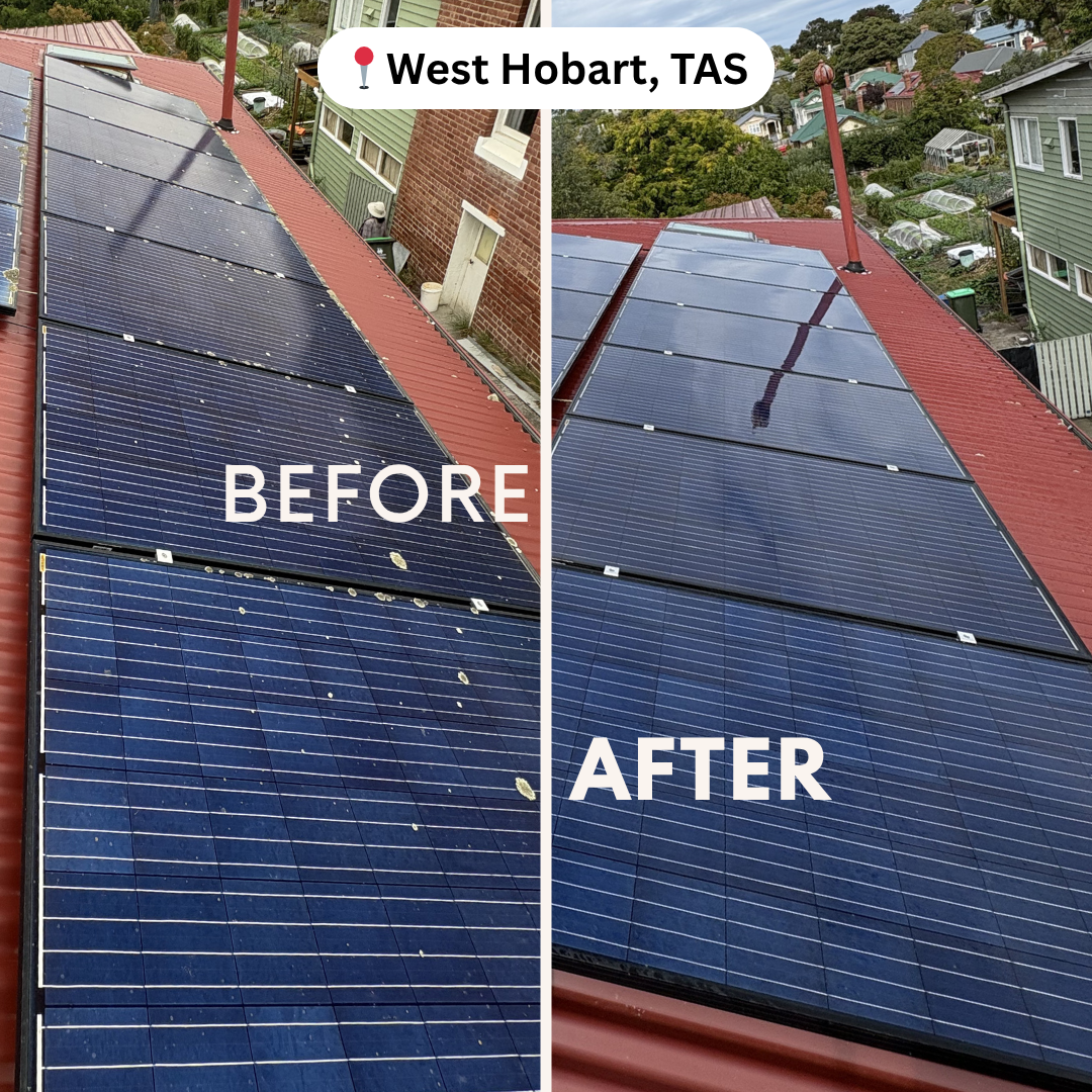 Solar panel cleaning before and after in Hobart by Refined Grounds